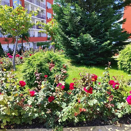 Aria Private In Noks Grand - Saint Vlas * Szveti Vlasz